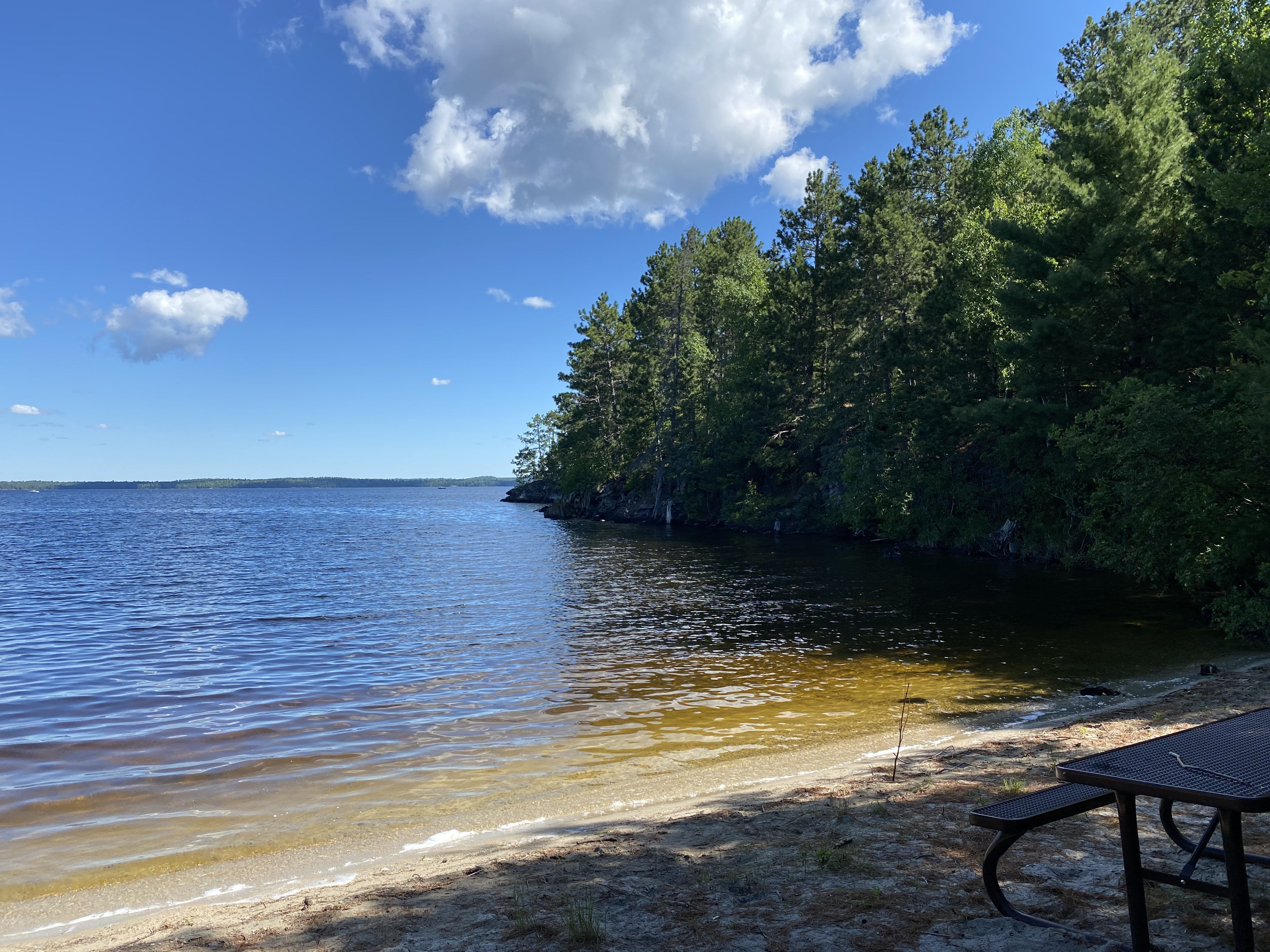 View from a beach with trees and a picnic bench on the right side of the image.