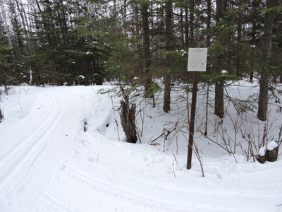 Looking down a ski trail
