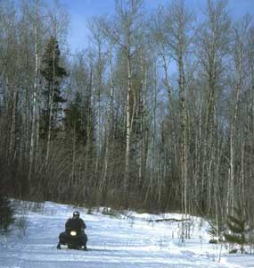 Snowmobiling