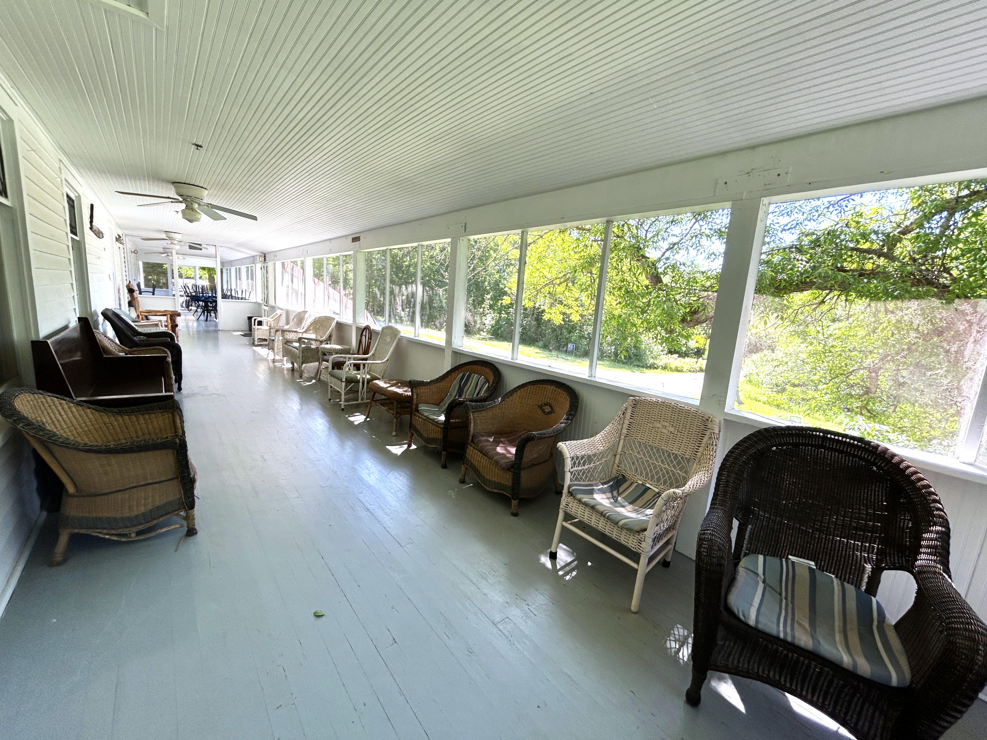A dozen wicker chairs of various sizes and styles line a sunny screened in porch.
