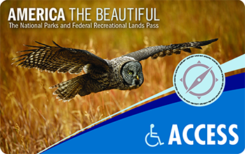 An Interagency Access Pass depicts a gray owl flying over a golden field