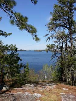 Collins_Blind_Ash_Bay_Trail_Log_Bench_Viewpoint_May_2014