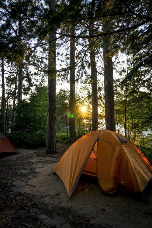 A tent is nestled beneath tall trees at a lakeside campsite