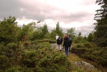 Hikers on a trail