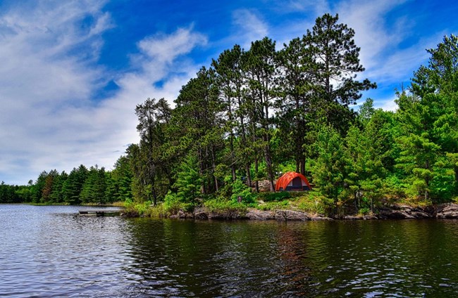 A tent nestled under pine trees on a shoreline