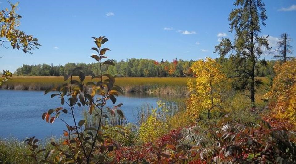 Rainy Lake Picnic Area View of Black Bay