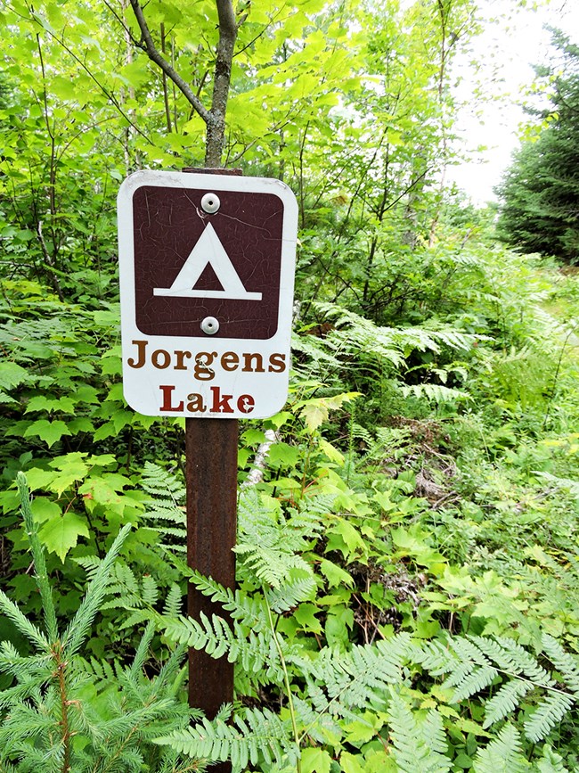 Camping at the Jorgens Backcountry site A small brown sign with a white tent symbol labeled "Jorgens Lake" is surrounded by green ferns and trees. To the right of the sign, a trail leads into the forest.