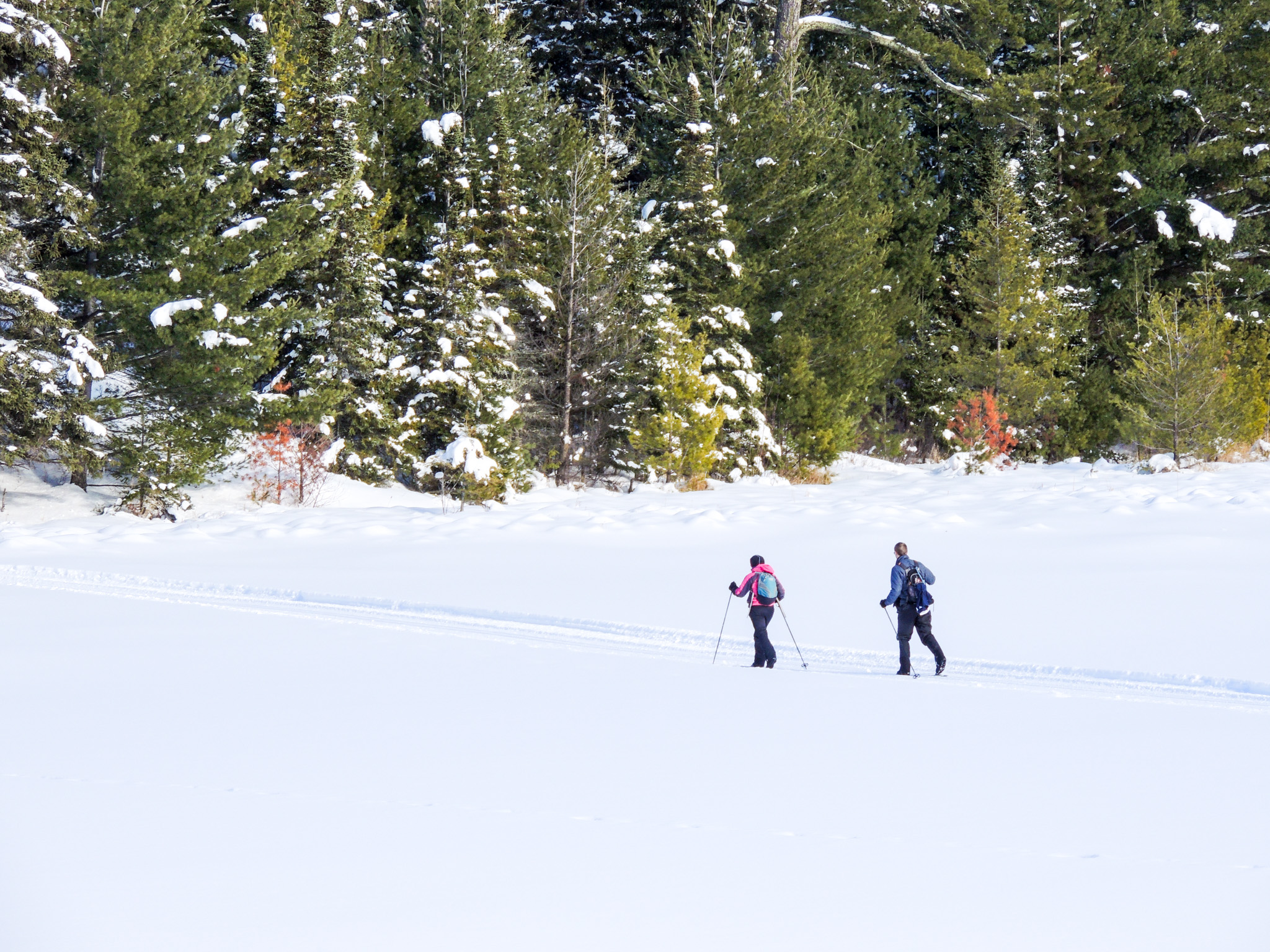 Cross country ski on sale store near me