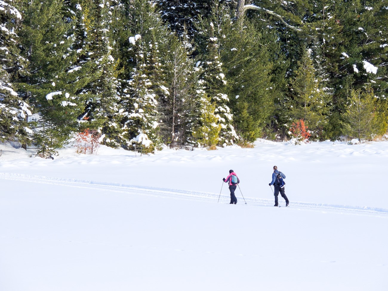 Two people gliding across a frozen lake on cross country skis