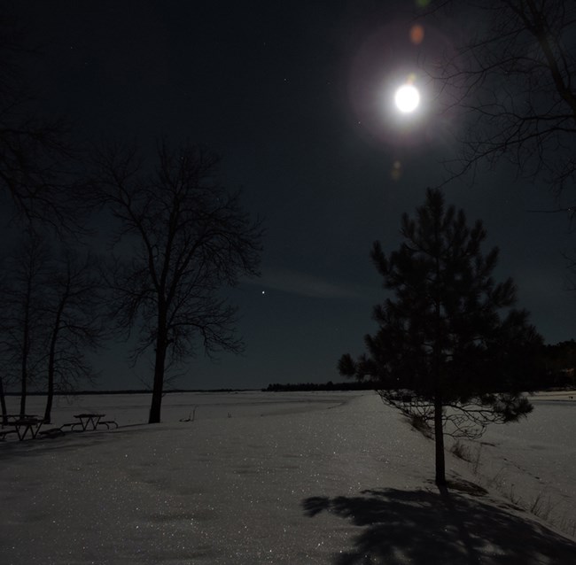 A full moon illuminates a large, snow-covered lake shore and also the silhouettes of several trees.