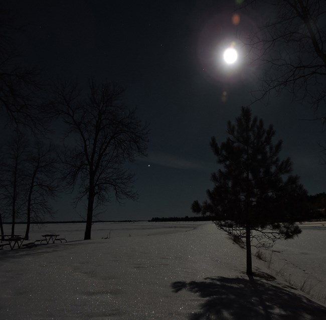 A full moon illuminates a large, snow-covered lake shore and also the silhouettes of several trees.