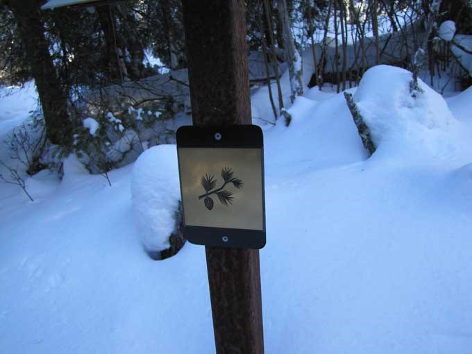 A Hike to Health marker displaying a pine branch emblem.