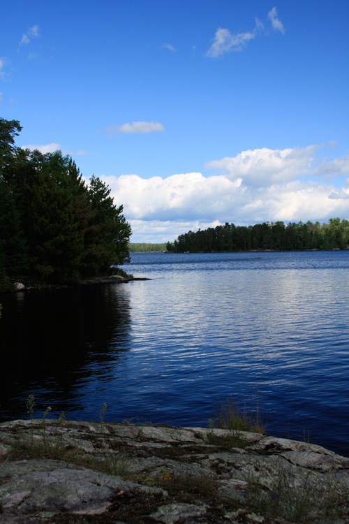 Rocky shoreline viewing lake and trees.