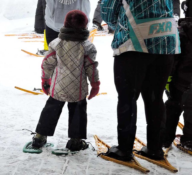 A child and several adults wear snowshoes and heavy coats prepare to hike down a snowy trail.