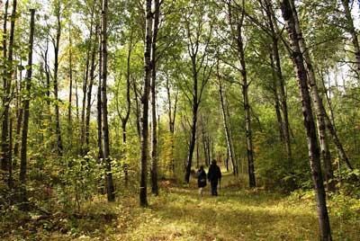Two Visitors on the Black Bay Ski Trail in Summer Two Visitors on the Black Bay Ski Trail in Summer