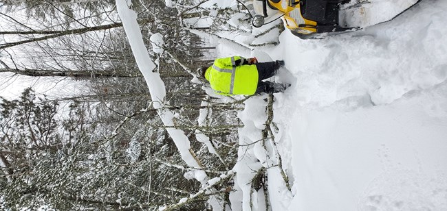 working in yellow coat clears down tree on snow covered trail