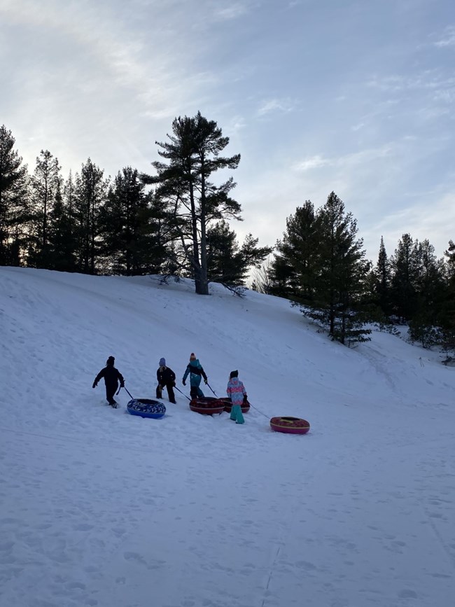 four children walk up the sledding hill with sleds