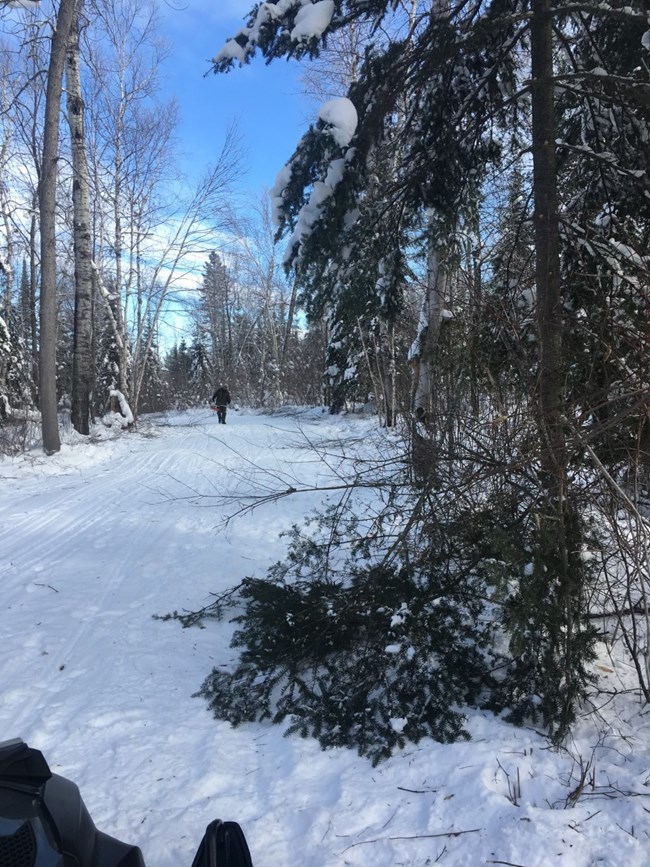 staff completes trail work on snow covered trail in green forest