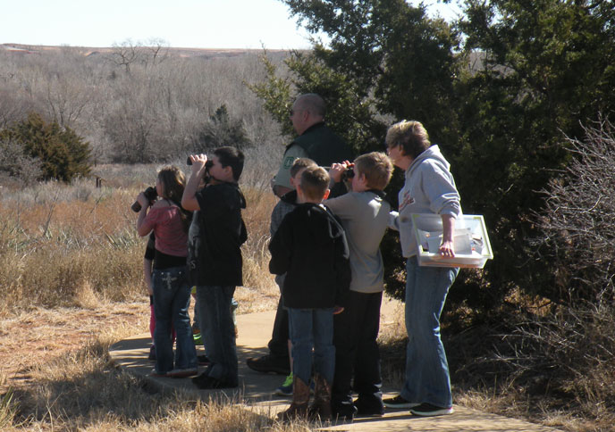 Washita's Backyard Bird Count Washita's Backyard Bird Count