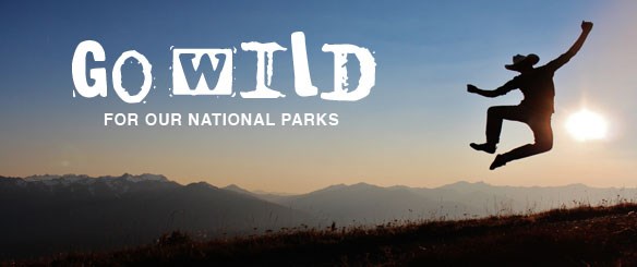 Go Wild for Our National Parks Go Wild for Our National Parks