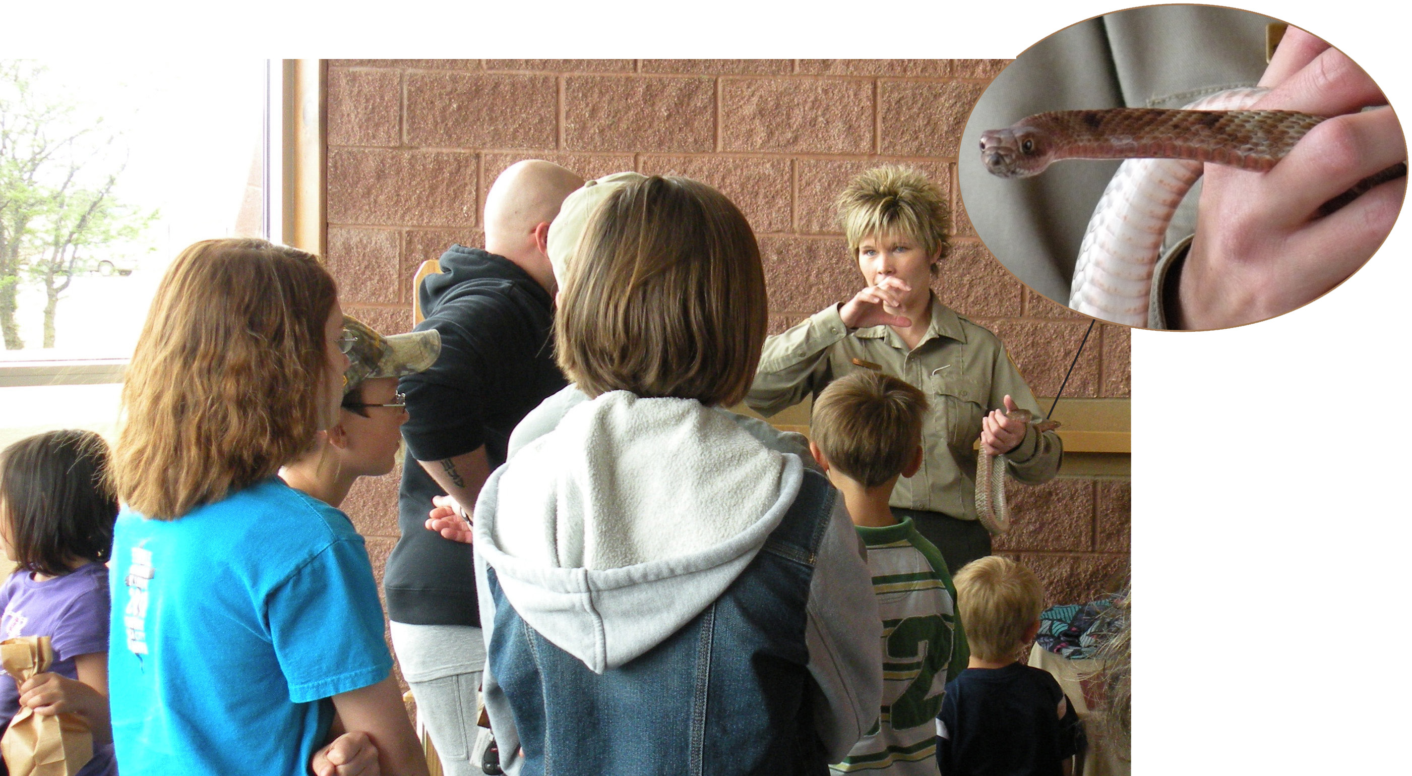 Visitors learn about the benefits snakes have on the environmant.