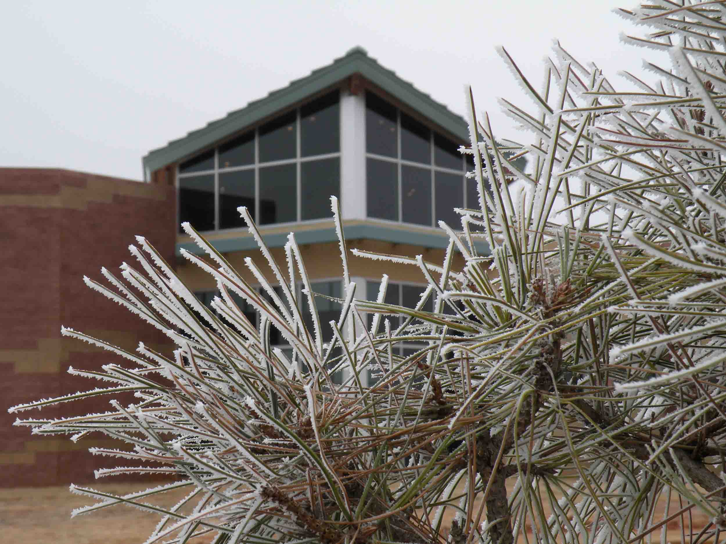 Winter at the Washita Winter at the Washita