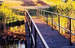 McClellan - Black Kettle National Grasslands