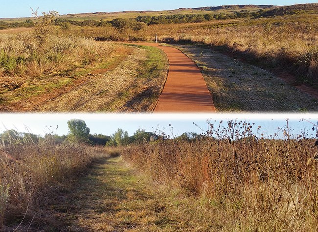 The paved and unpaved sections of the park trail