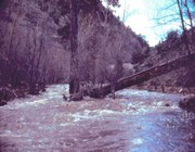 A rare flood in Walnut Creek