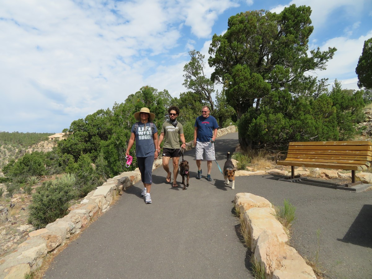 A family walks their leashed dogs on the Rim Trail.
