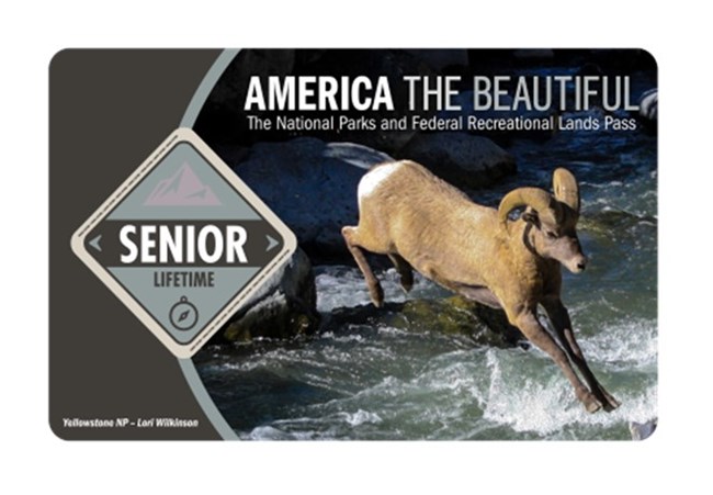 America the Beautiful Senior Lifetime Pass