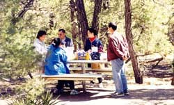 People gathered at a picnic table People gathered at a picnic table
