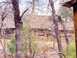 log cabin in woods