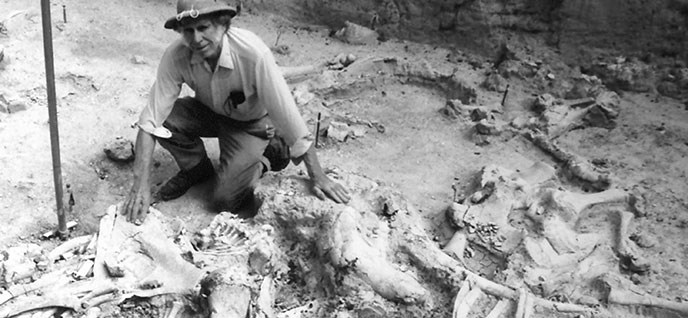 Volunteer Ralph Vinson kneeling next to fossils at the site.