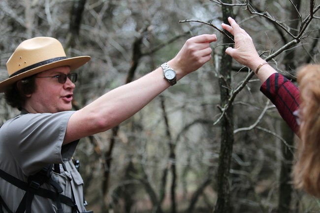 Ranger Explaining Plants to Visitors