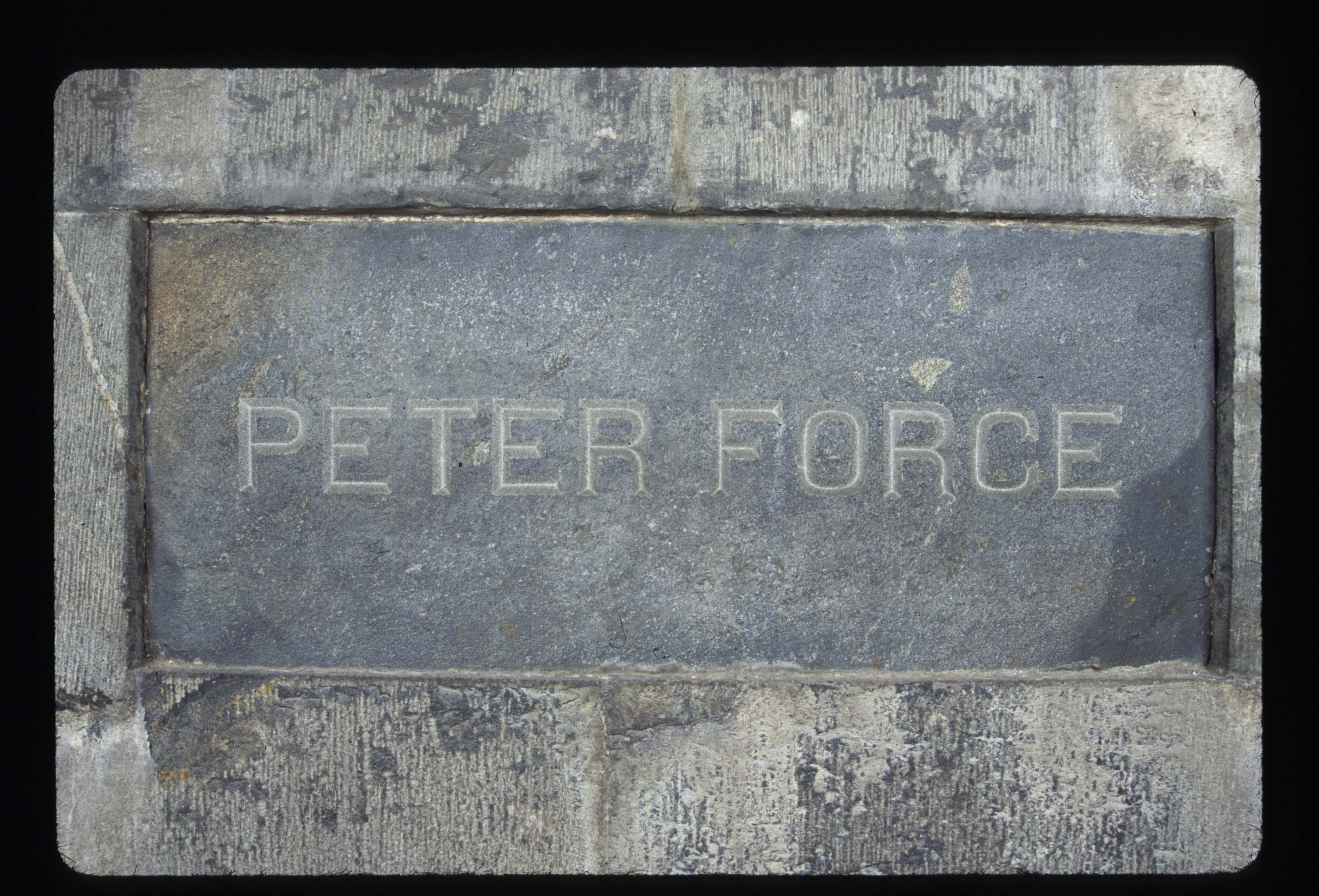 Peter Force