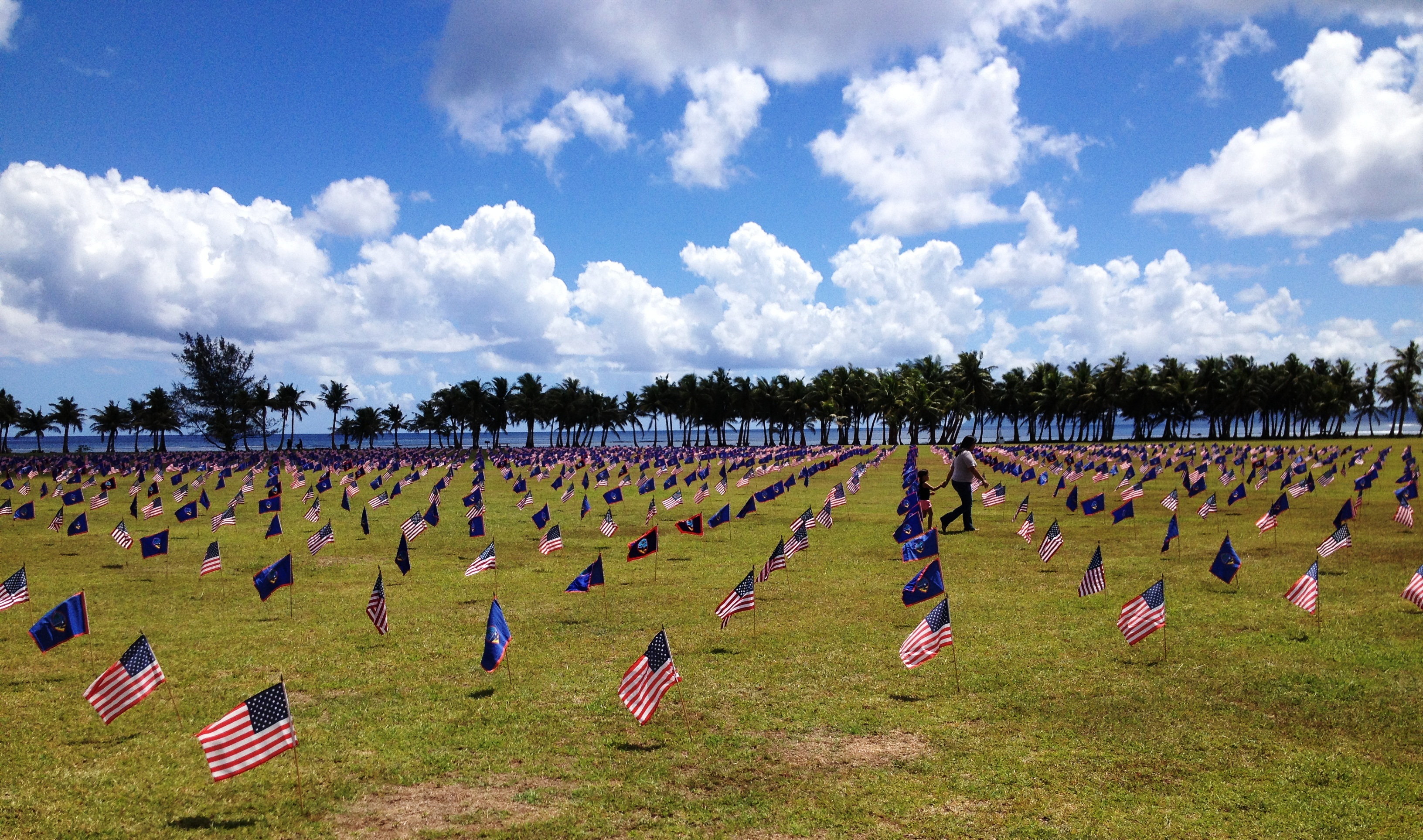 Flags at Asan Beach 2013