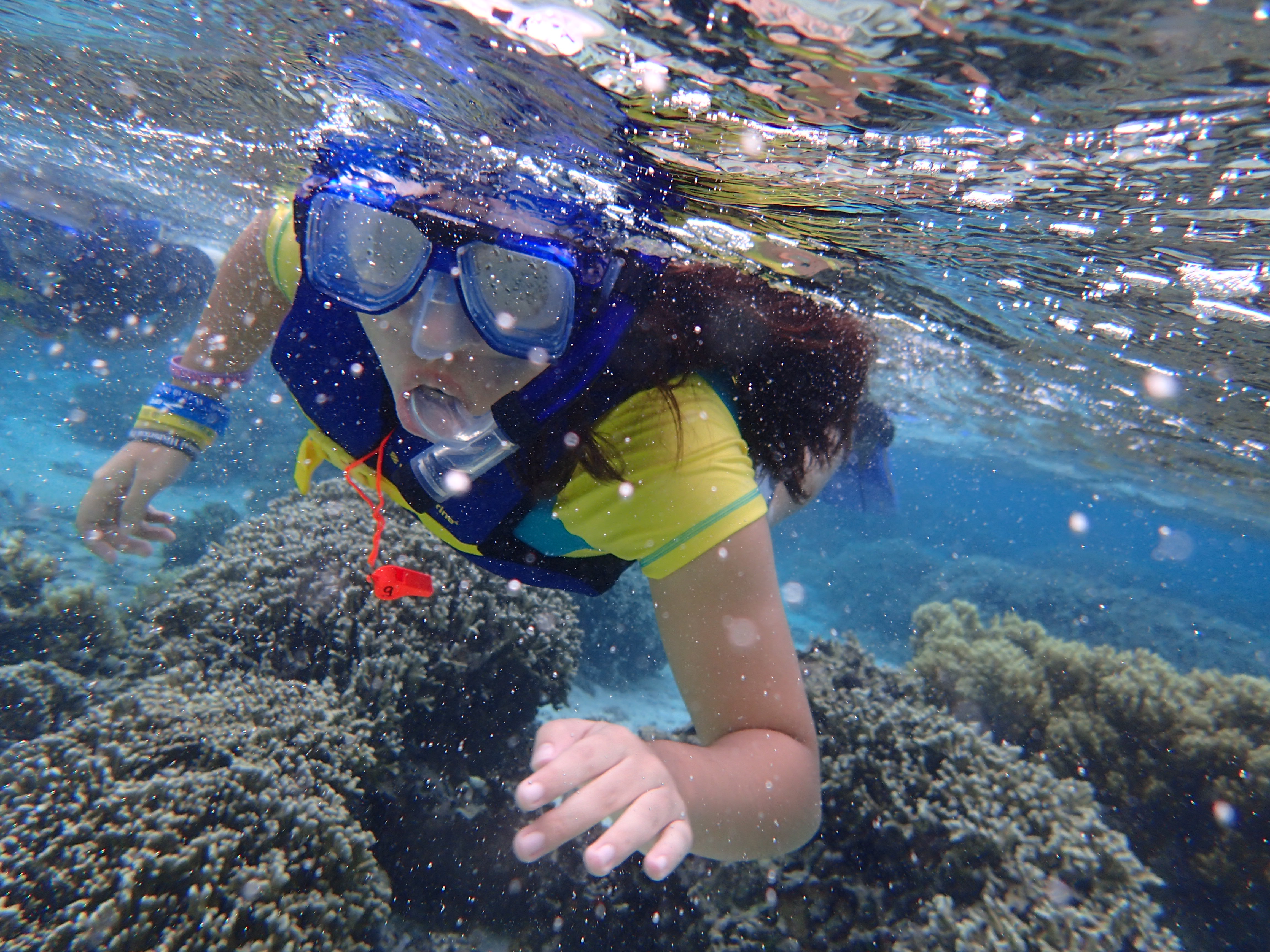 Preservation Ranger snorkeling