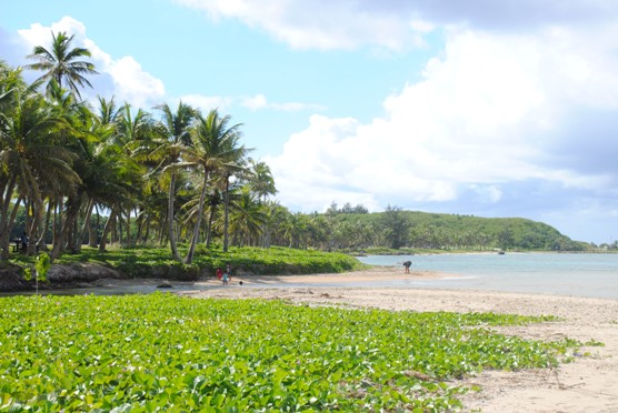 coastal-strand-photo