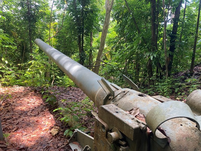 A large metal gun with a long barrel pointing into the forest.