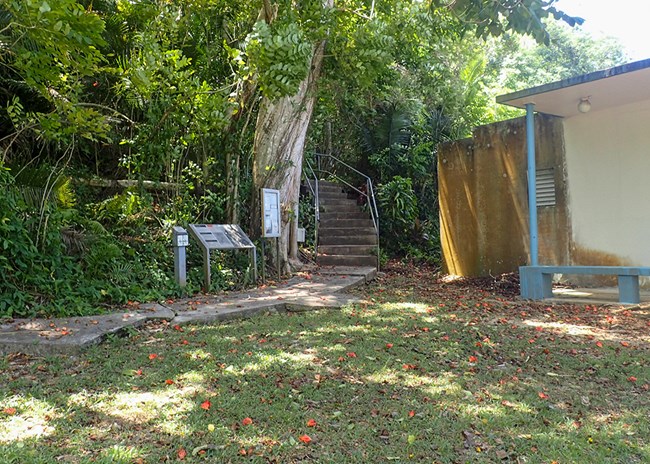 A concrete path leading to stairs leading up into the forest. Informational signs and a low concrete building stand next to the path.