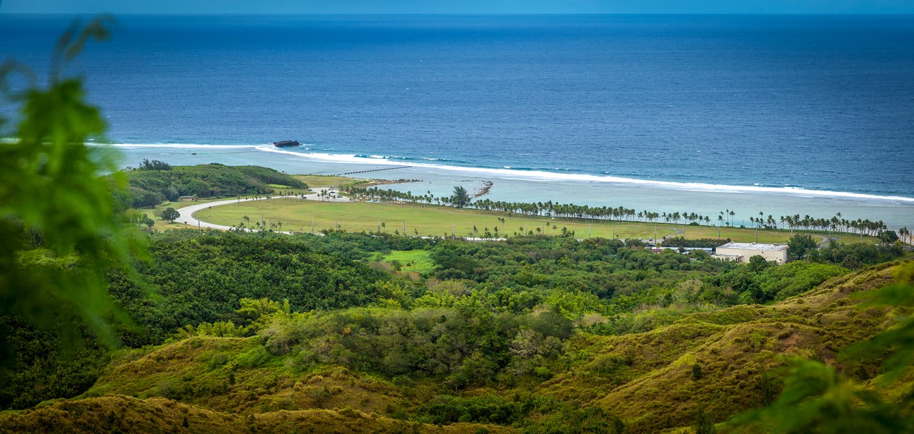 View of a beach and the ocean from atop a hill
