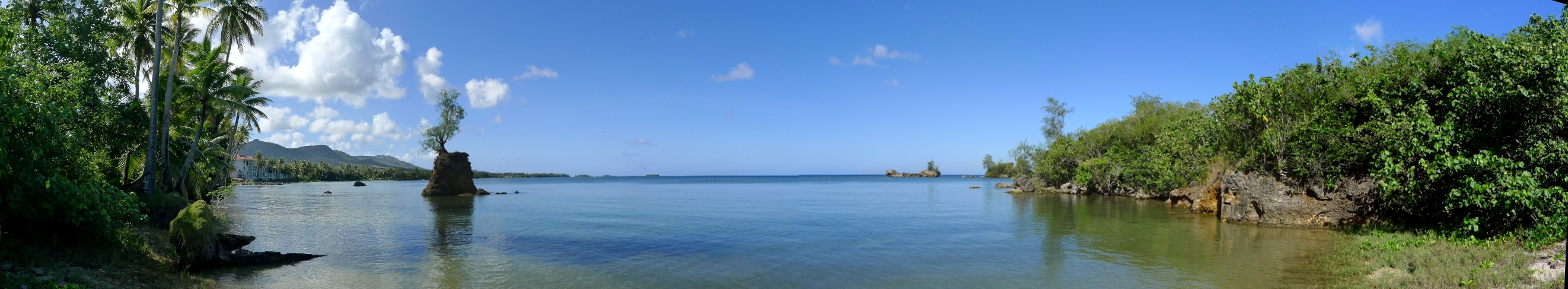 A small bay of blue-green water framed on either side by palm trees. A single large rock sticks out of the water with a small tree growing on it.