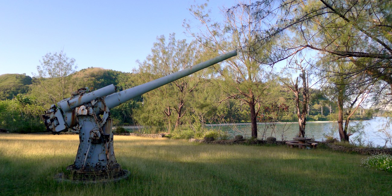 A large mounted gun in a grassy field.
