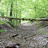 Original section of the trail in Prince William Forrest