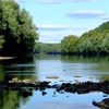 Schuykill River