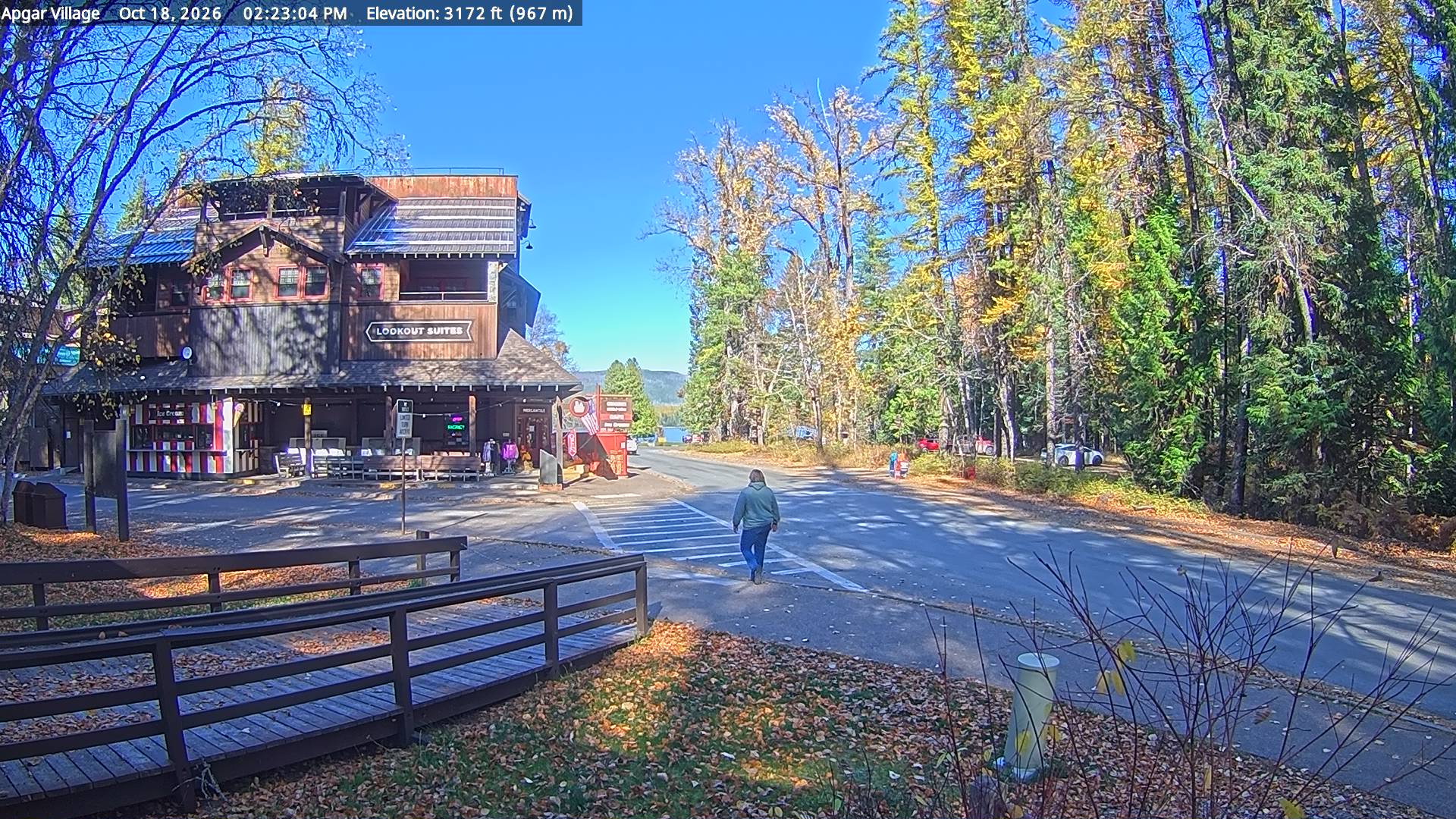Apgar Village webcam