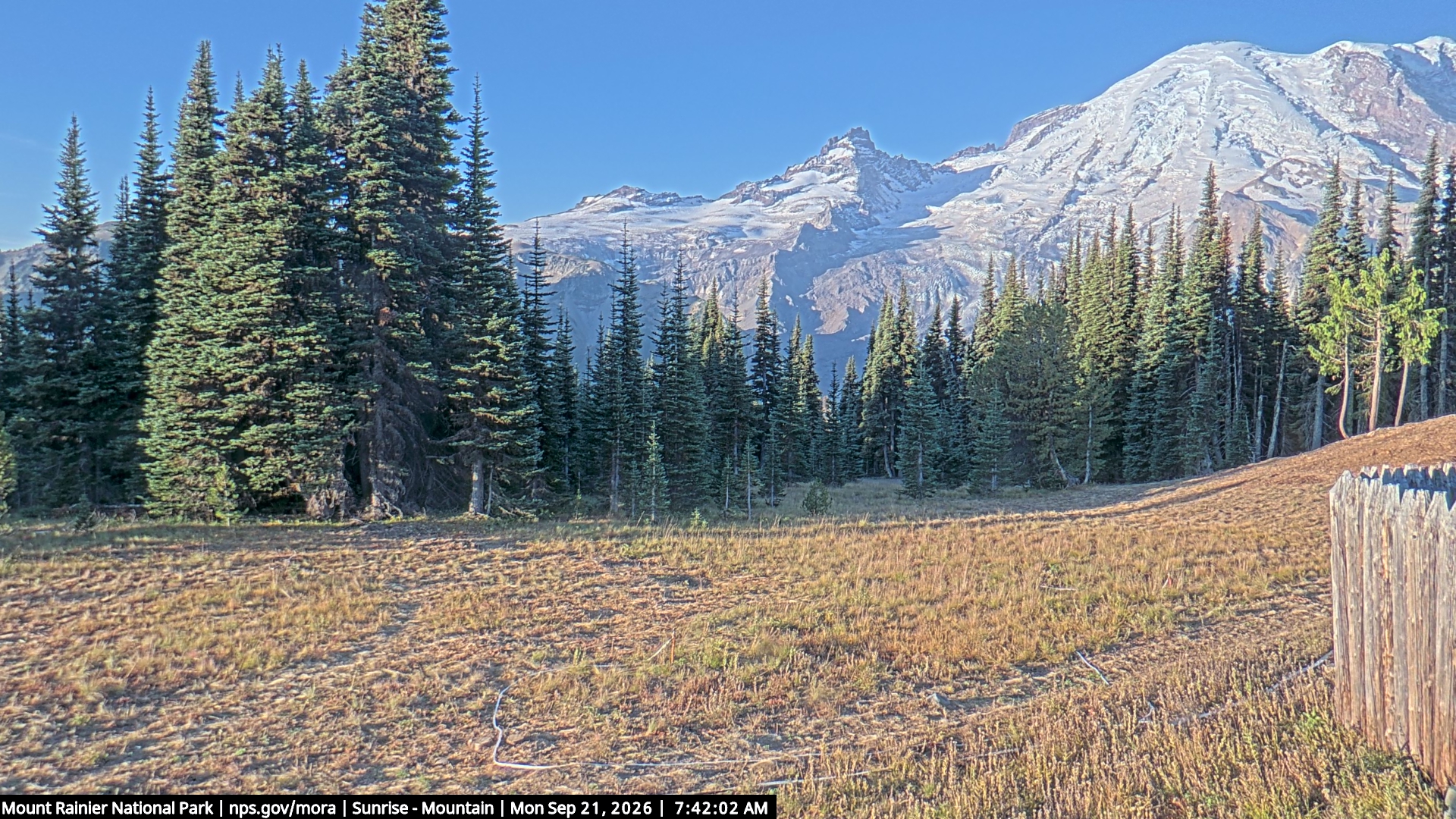 Mount Rainier — Sunrise, the mountain road camera