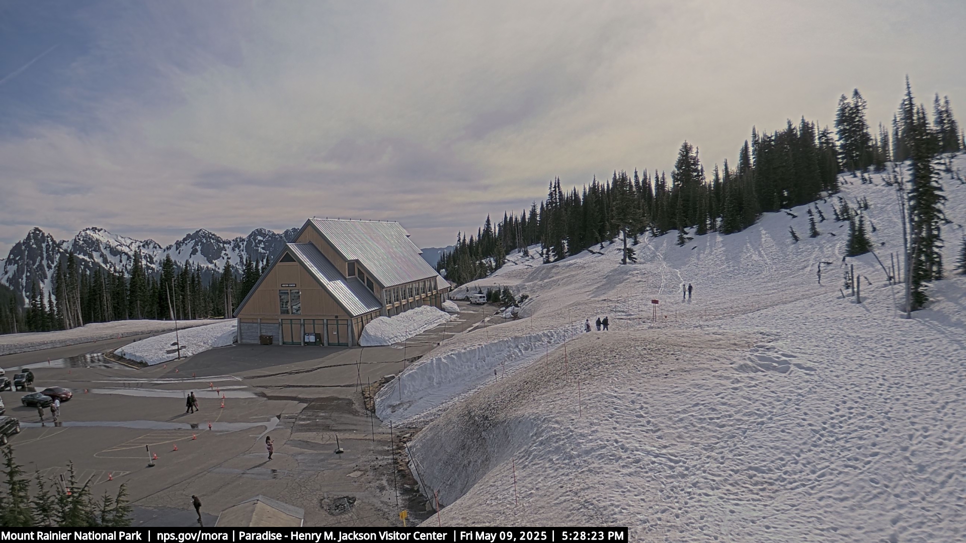 Looking west toward Jackson Visitor Center at Paradise. Thumbnail photo taken from the webcam on October 11, 2012.