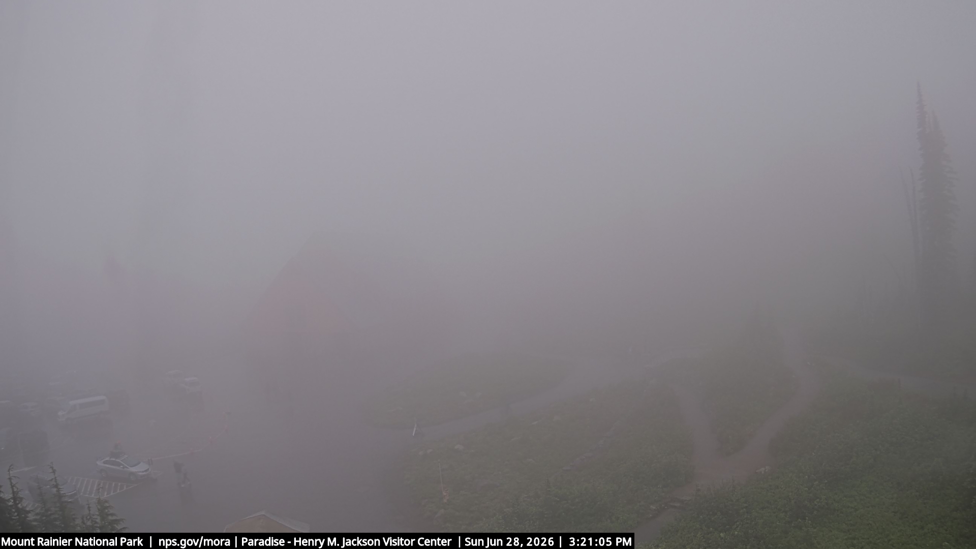 Jackson Visitor Center webcam frame at Paradise on Mount Rainier.